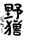 sho08