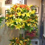 hana_01 hana_02