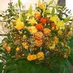 hana_02 hana_02
