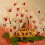 hana_04 hana_04